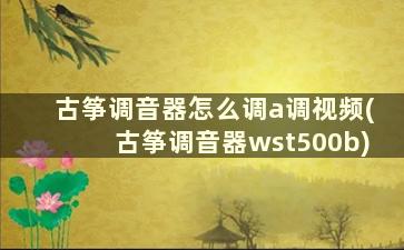 古筝调音器怎么调a调视频(古筝调音器wst500b)