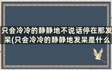 只会冷冷的静静地不说话停在那发呆(只会冷冷的静静地发呆是什么歌)