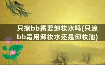 只擦bb霜要卸妆水吗(只涂bb霜用卸妆水还是卸妆油)