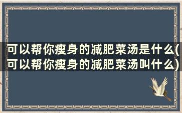 可以帮你瘦身的减肥菜汤是什么(可以帮你瘦身的减肥菜汤叫什么)