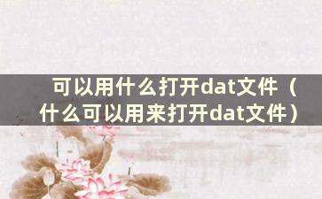 可以用什么打开dat文件（什么可以用来打开dat文件）