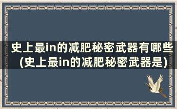 史上最in的减肥秘密武器有哪些(史上最in的减肥秘密武器是)