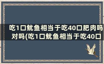 吃1口鱿鱼相当于吃40口肥肉吗对吗(吃1口鱿鱼相当于吃40口肥肉吗)