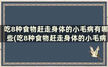 吃8种食物赶走身体的小毛病有哪些(吃8种食物赶走身体的小毛病)