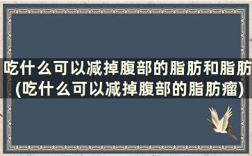 吃什么可以减掉腹部的脂肪和脂肪(吃什么可以减掉腹部的脂肪瘤)