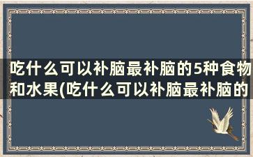 吃什么可以补脑最补脑的5种食物和水果(吃什么可以补脑最补脑的5种食物)