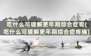 吃什么可缓解更年期综合症呢(吃什么可缓解更年期综合症疼痛)