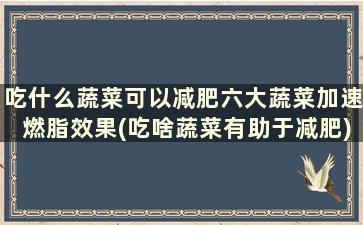 吃什么蔬菜可以减肥六大蔬菜加速燃脂效果(吃啥蔬菜有助于减肥)