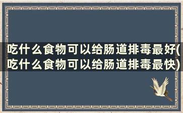 吃什么食物可以给肠道排毒最好(吃什么食物可以给肠道排毒最快)