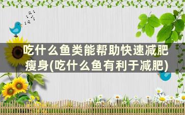 吃什么鱼类能帮助快速减肥瘦身(吃什么鱼有利于减肥)