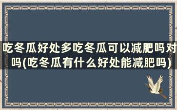 吃冬瓜好处多吃冬瓜可以减肥吗对吗(吃冬瓜有什么好处能减肥吗)