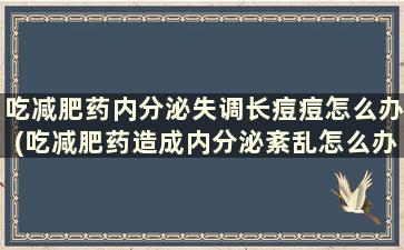 吃减肥药内分泌失调长痘痘怎么办(吃减肥药造成内分泌紊乱怎么办)