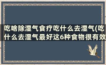 吃啥除湿气食疗吃什么去湿气(吃什么去湿气最好这6种食物很有效民福康健康)