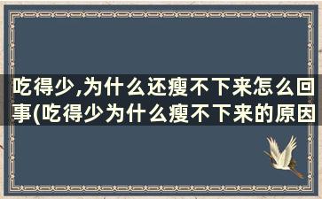 吃得少,为什么还瘦不下来怎么回事(吃得少为什么瘦不下来的原因)