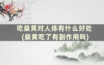 吃桑黄对人体有什么好处(桑黄吃了有副作用吗)