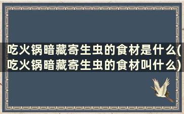 吃火锅暗藏寄生虫的食材是什么(吃火锅暗藏寄生虫的食材叫什么)