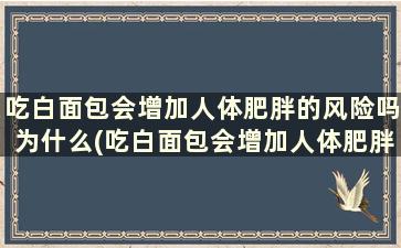 吃白面包会增加人体肥胖的风险吗为什么(吃白面包会增加人体肥胖的风险吗)