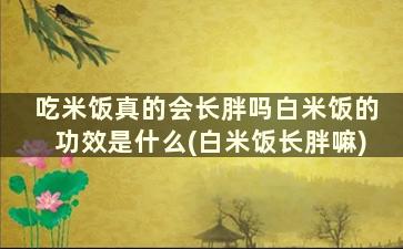 吃米饭真的会长胖吗白米饭的功效是什么(白米饭长胖嘛)