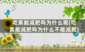 吃素能减肥吗为什么呢(吃素能减肥吗为什么不能减肥)