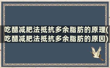 吃醋减肥法抵抗多余脂肪的原理(吃醋减肥法抵抗多余脂肪的原因)