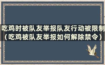 吃鸡时被队友举报队友行动被限制（吃鸡被队友举报如何解除禁令）