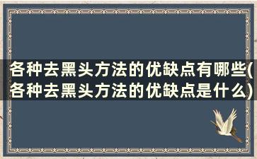 各种去黑头方法的优缺点有哪些(各种去黑头方法的优缺点是什么)