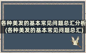 各种美发的基本常见问题总汇分析(各种美发的基本常见问题总汇)