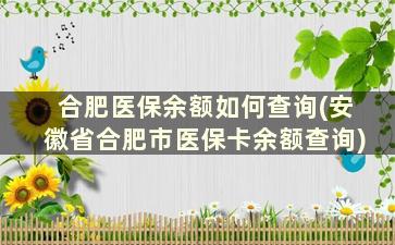 合肥医保余额如何查询(安徽省合肥市医保卡余额查询)