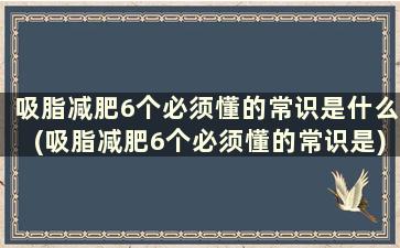 吸脂减肥6个必须懂的常识是什么(吸脂减肥6个必须懂的常识是)