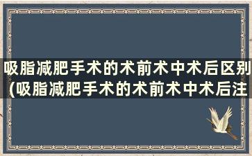 吸脂减肥手术的术前术中术后区别(吸脂减肥手术的术前术中术后注意事项)