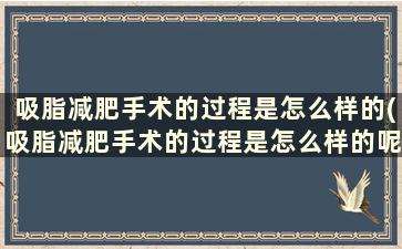 吸脂减肥手术的过程是怎么样的(吸脂减肥手术的过程是怎么样的呢)