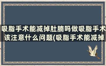 吸脂手术能减掉肚腩吗做吸脂手术该注意什么问题(吸脂手术能减掉肚腩吗做吸脂手术该注意什么事项)