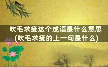 吹毛求疵这个成语是什么意思(吹毛求疵的上一句是什么)