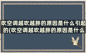 吹空调越吹越胖的原因是什么引起的(吹空调越吹越胖的原因是什么意思)