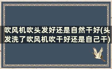 吹风机吹头发好还是自然干好(头发洗了吹风机吹干好还是自己干)