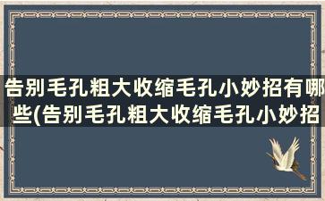 告别毛孔粗大收缩毛孔小妙招有哪些(告别毛孔粗大收缩毛孔小妙招)