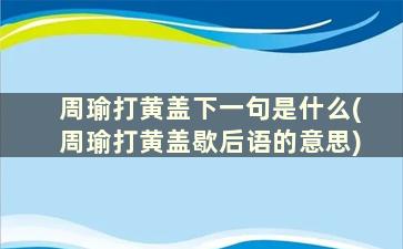 周瑜打黄盖下一句是什么(周瑜打黄盖歇后语的意思)