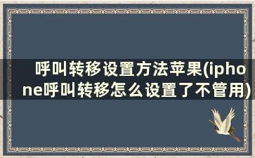 呼叫转移设置方法苹果(iphone呼叫转移怎么设置了不管用)