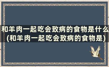 和羊肉一起吃会致病的食物是什么(和羊肉一起吃会致病的食物是)