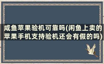 咸鱼苹果验机可靠吗(闲鱼上卖的苹果手机支持验机还会有假的吗)