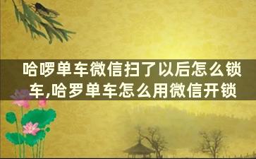 哈啰单车微信扫了以后怎么锁车,哈罗单车怎么用微信开锁