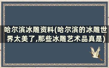 哈尔滨冰雕资料(哈尔滨的冰雕世界太美了,那些冰雕艺术品真是)