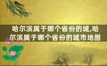 哈尔滨属于哪个省份的城,哈尔滨属于哪个省份的城市地图