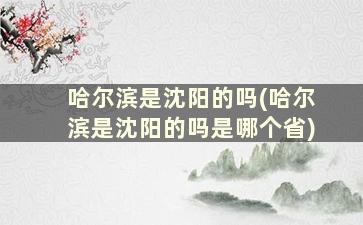 哈尔滨是沈阳的吗(哈尔滨是沈阳的吗是哪个省)