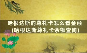 哈根达斯的尊礼卡怎么看金额(哈根达斯尊礼卡余额查询)