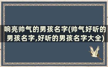 响亮帅气的男孩名字(帅气好听的男孩名字,好听的男孩名字大全)