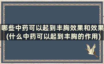 哪些中药可以起到丰胸效果和效果(什么中药可以起到丰胸的作用)