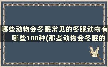 哪些动物会冬眠常见的冬眠动物有哪些100种(那些动物会冬眠的)