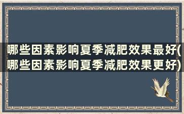 哪些因素影响夏季减肥效果最好(哪些因素影响夏季减肥效果更好)