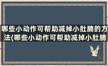 哪些小动作可帮助减掉小肚腩的方法(哪些小动作可帮助减掉小肚腩的肉)